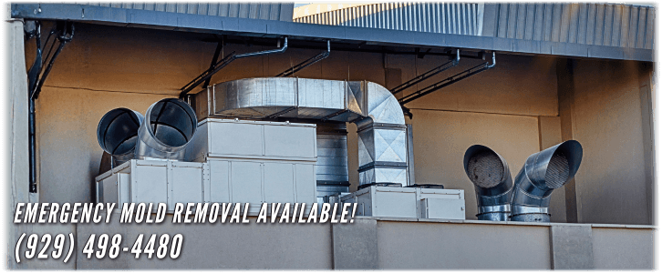 Air Duct Mold Removal in NYC